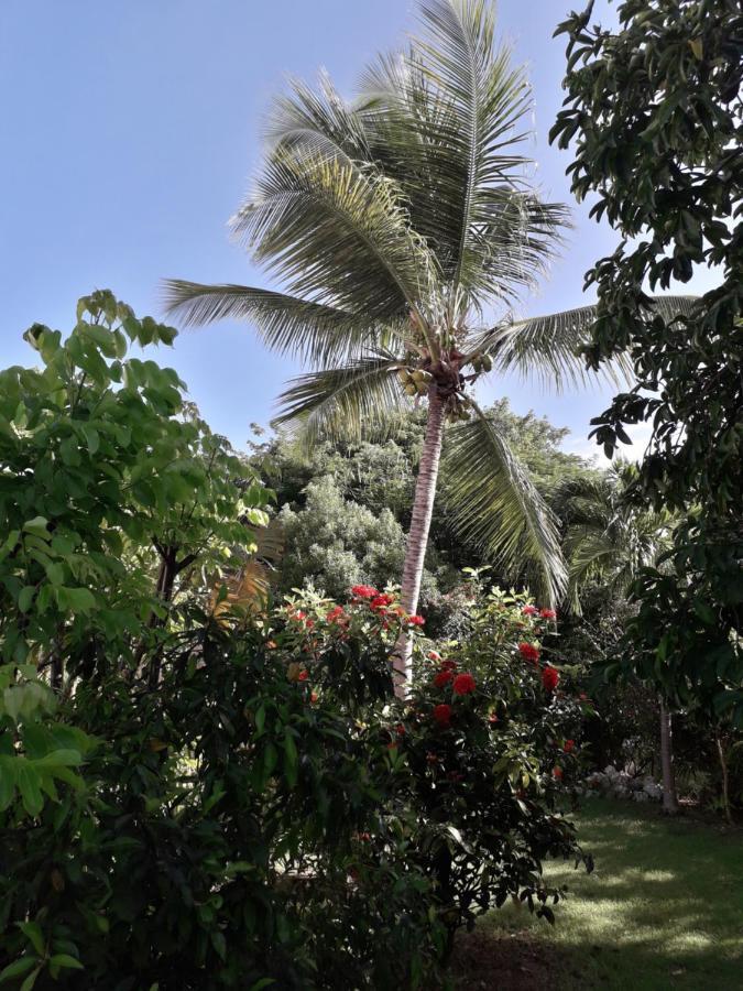 Kazatipunch Villa Saint-Francois  Exterior photo
